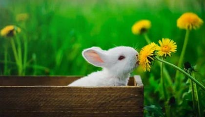 开云电竞平台-《绝地求生》新武器上线:性能测试与实战应用,绝地求生即将迎来新武器